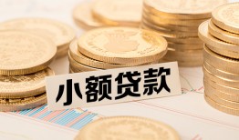 东莞10空放-东莞10个人短借-东莞10身份证小额贷款