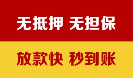 东莞10个人借钱电话-东莞10本地私借-东莞10网上小额贷款
